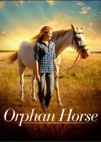 Сиротка (2018) Orphan Horse