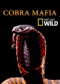 Мафия кобр (2014) Cobra Mafia