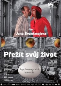 Пережить свою жизнь (2010) Prezít svuj zivot