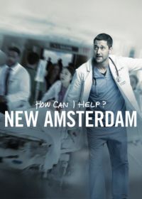 Новый Амстердам (2018-2022) New Amsterdam