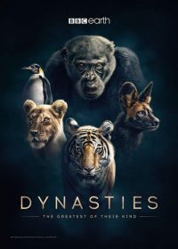 Династии (2018) Dynasties