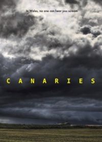 Канарейки (2017) Canaries