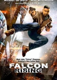 Восхождение Сокола (2014) Falcon Rising