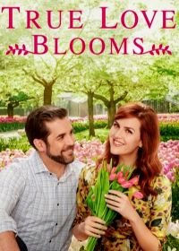 Когда расцветает любовь (2019) True Love Blooms
