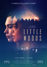Лесок (2018) Little Woods