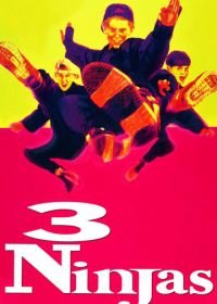 Три ниндзя (1992) 3 Ninjas