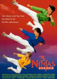 Три ниндзя наносят ответный удар (1994) 3 Ninjas Kick Back