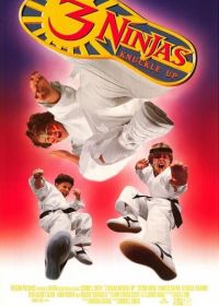 Три ниндзя: Костяшки вверх (1995) 3 Ninjas Knuckle Up