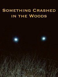 Крушение в лесу (2019) Something Crashed in the Woods