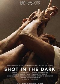 Выстрел в темноте (2017) Shot in the Dark