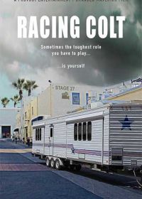 В погоне за Кольтом (2018) Racing Colt