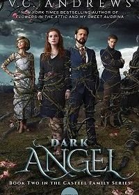 Тёмный Ангел (2019) Dark Angel