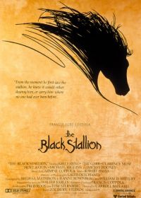 Черный скакун (1979) The Black Stallion