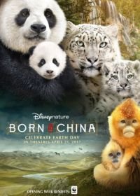 Рожденные в Китае (2016) Born in China