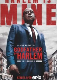 Крёстный отец Гарлема (2019-2023) Godfather of Harlem