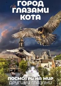 Город глазами кота (2018) Wild Amsterdam