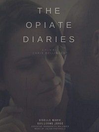 Дневник наркоманки (2018) The Opiate Diaries