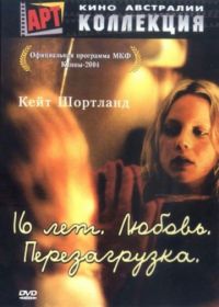 16 лет. Любовь. Перезагрузка (2004) Somersault
