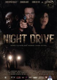 Ночной драйв (2010) Night Drive