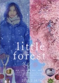 Небольшой лес: Зима и весна (2015) Little Forest: Winter/Spring