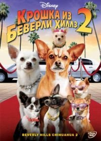 Крошка из Беверли-Хиллз 2 (2010) Beverly Hills Chihuahua 2