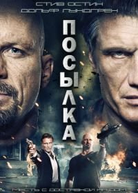Посылка (2012) The Package