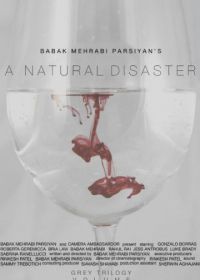 Стихийное бедствие (2018) A Natural Disaster