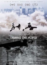 Укрощенный (2017) Taming the Horse