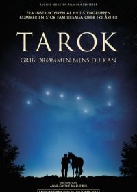 Поймать мечту (2013) Tarok