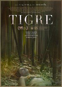 Тигр (2017) Tigre