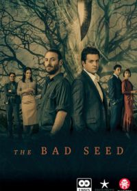 Дурная кровь (2019) The Bad Seed