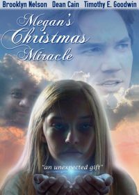 Рождественское чудо для Меган (2018) Megan's Christmas Miracle
