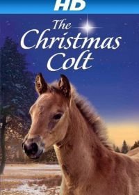 Рождественский жеребёнок (2013) The Christmas Colt