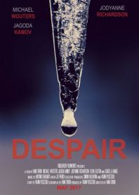 Отчаяние (2017) Despair