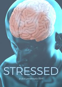 В состоянии стресса (2019) Stressed