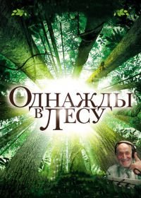 Однажды в лесу (2013) Once in the Forest