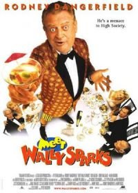 Познакомьтесь с Уолли Спарксом (1996) Meet Wally Sparks