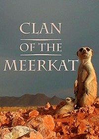 National Geographic. Клан сурикатов (2010) Clan of the meerkat