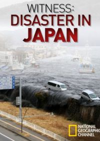 National Geographic. Свидетели японской катастрофы (2011) Witness: Disaster in Japan