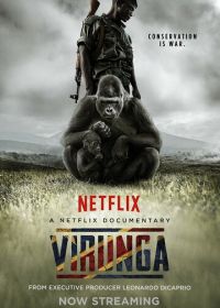 Вирунга (2014) Virunga