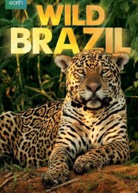 Дикая Бразилия (2014) Wild Brazil