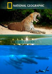 National Geographic. Дикая Шри Ланка (2014) Wild Sri Lanka