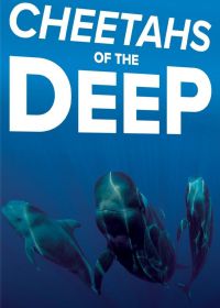 Дельфины – гепарды морских глубин (2014) Cheetahs of the Deep