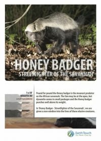 National Geographic. Жизнь одного медоеда (2013) Ultimate Honey Badger