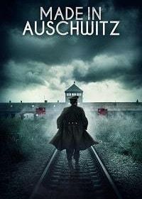 Сделано в Освенциме: Нерассказанная история блока номер десять (2019) Made in Auschwitz: The Untold Story of Block 10