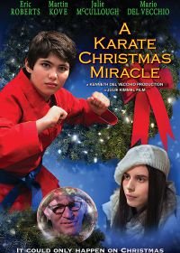 Рождественское чудо в стиле карате (2019) A Karate Christmas Miracle