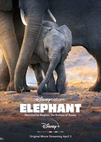 Слон (2020) Elephant