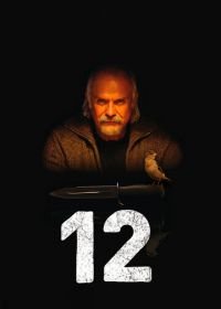 12 (2007)