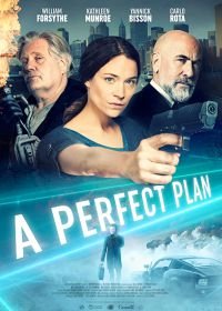 Идеальный план (2020) A Perfect Plan