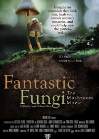 Фантастические грибы (2019) Fantastic Fungi